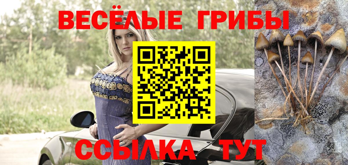 Галлюциногенные грибы ЛСД Можайск